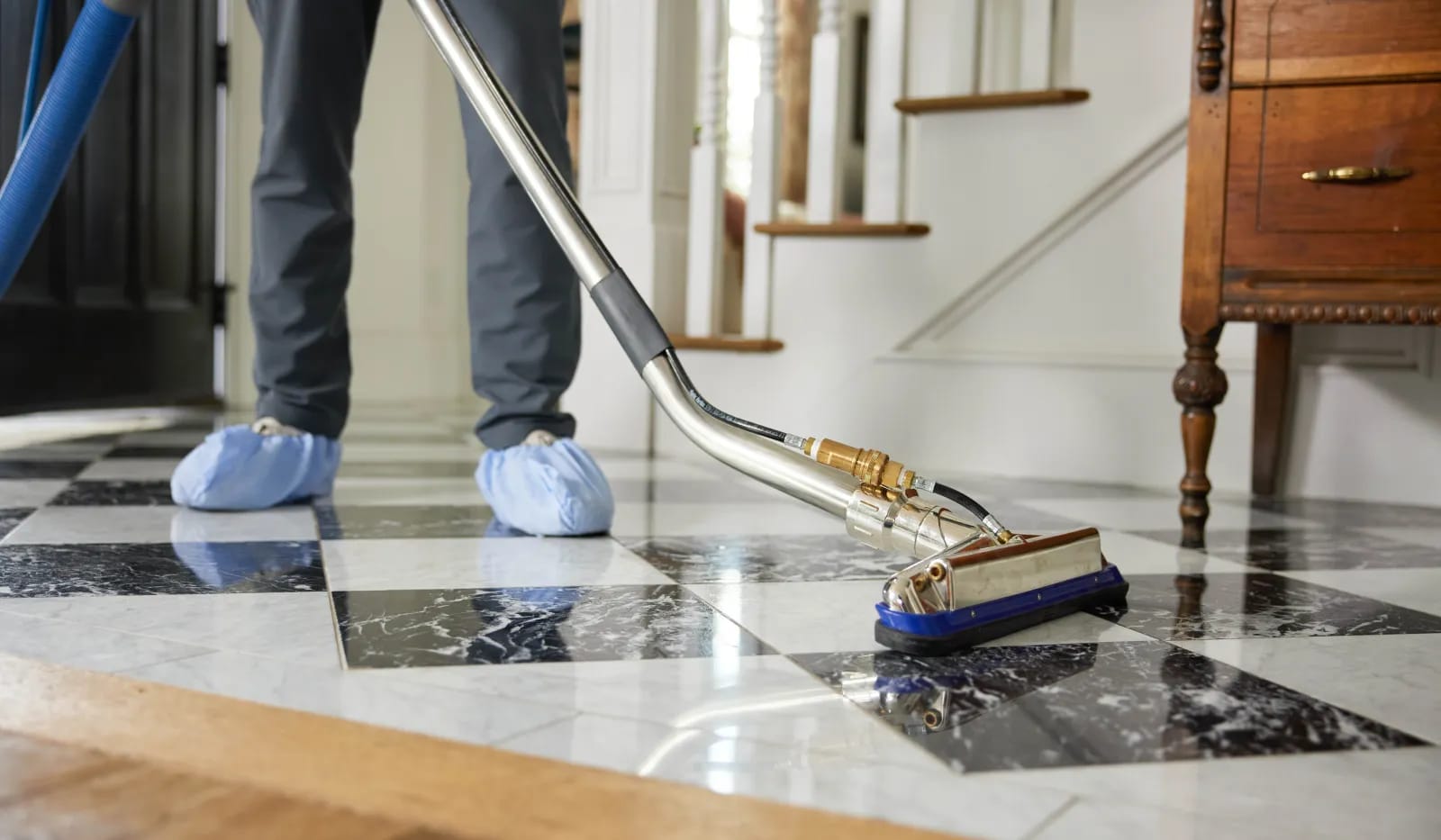 Pet Safe Dog Urine Carpet Treatment Placer County Solutions