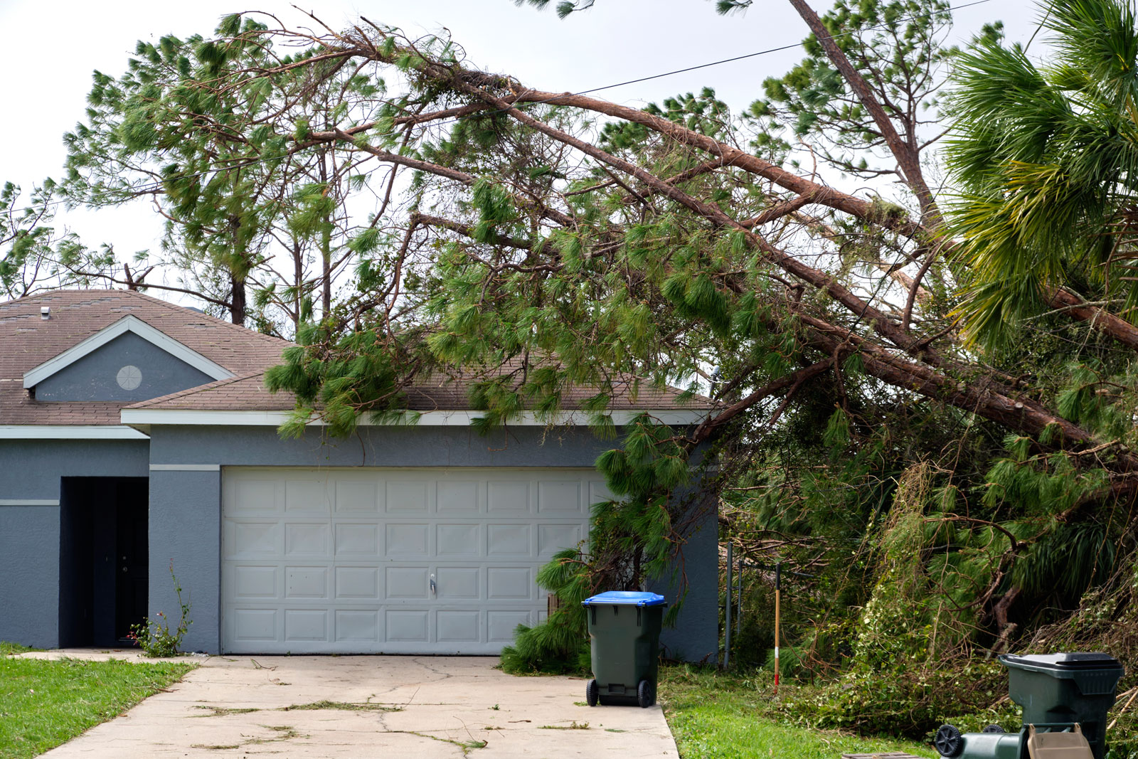 How to File a Successful wind damage insurance claim Quickly | Lachman Public Adjuster